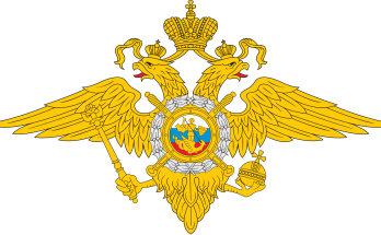 МВД: высокий темп роста киберпреступности и снижение доли уличных преступлений.