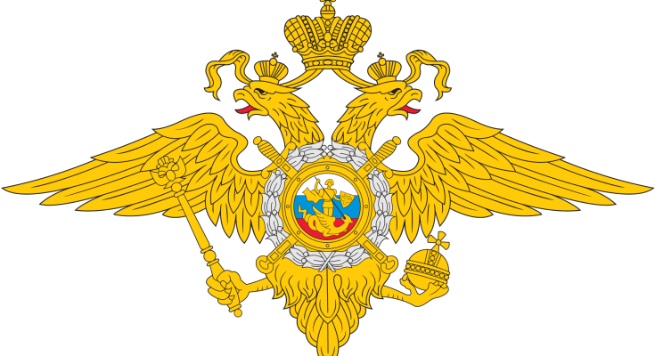 МВД: высокий темп роста киберпреступности и снижение доли уличных преступлений.