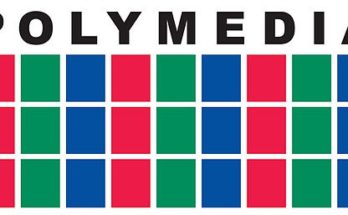 Елена Новикова, Polymedia: В России пора создавать ситуационные центры с искусственным интеллектом