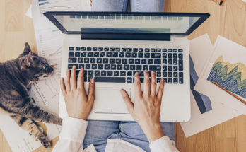 Исследование: как крупный бизнес будет развивать технологии для дистанционной работы