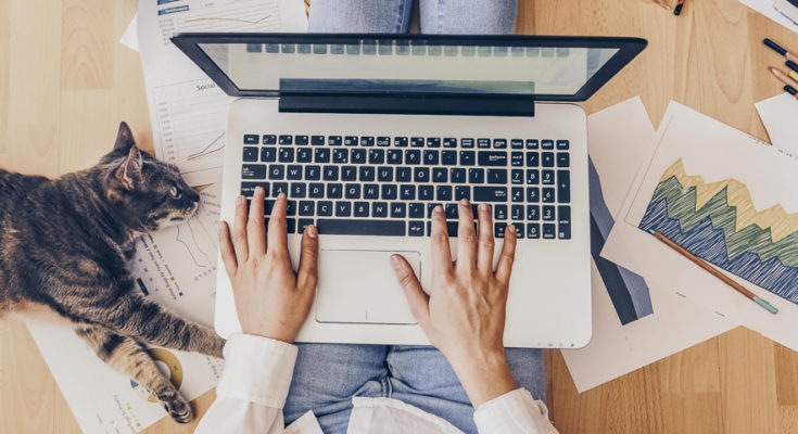 Исследование: как крупный бизнес будет развивать технологии для дистанционной работы