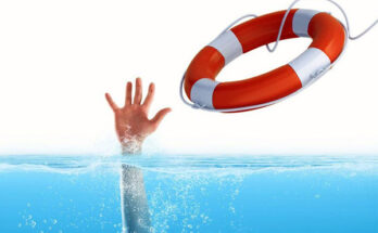 ИТ-компании спасают отечественный бизнес