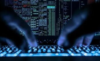 В России создается первый межвузовский студенческий центр кибербезопасности