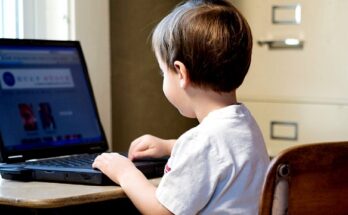 В Совете Федерации предложили обучать информбезопасности дошкольников