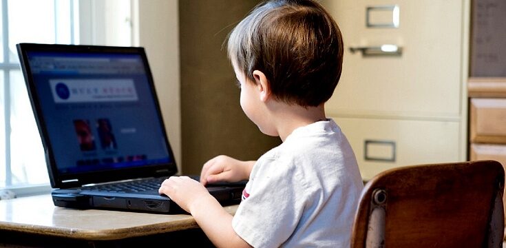 В Совете Федерации предложили обучать информбезопасности дошкольников