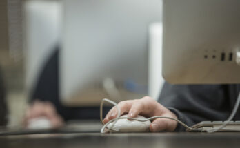 Все российские школы перешли на отечественное программное обеспечение