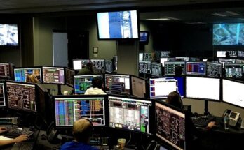 Почти 80% российских компаний используют отечественные системы работы с данными